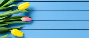 Spring Home AC Maintenance Tips for Florida Homeowners