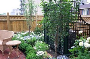 green garden