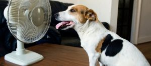 Why Is One Room Hotter Than The Rest